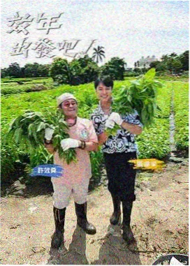 片单图鉴：夜市摊位的暖色灯串与蒸汽